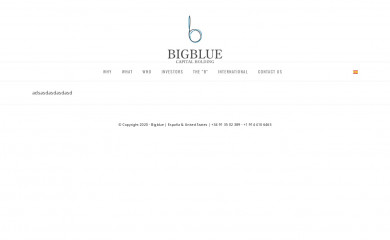 bigblueholding.com screenshot