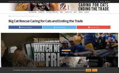 bigcatrescue.org screenshot