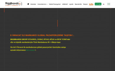 biggbrands.com screenshot