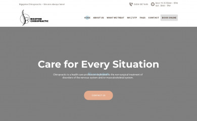 bigspinechiropractic.com.au screenshot