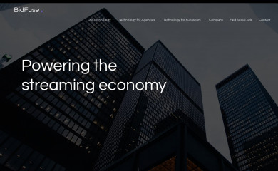 bidfuse.com screenshot