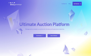 bidgemmer.com screenshot