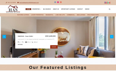 bienesraiceshas.com.mx screenshot