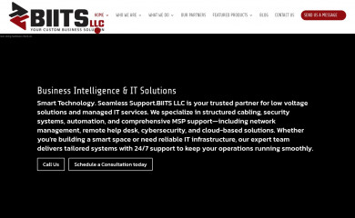 biitsllc.com screenshot