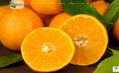 biocarrolo.es screenshot