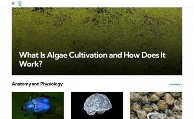 biologyinsights.com screenshot