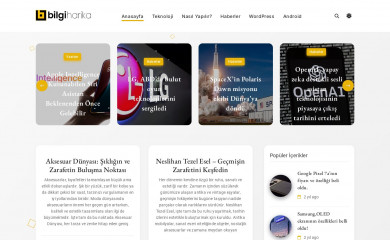bilgiharika.com screenshot
