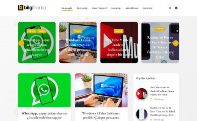 bilgiharika.com screenshot