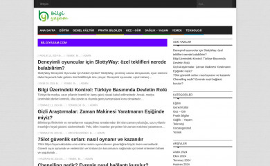 bilgiyasam.com screenshot