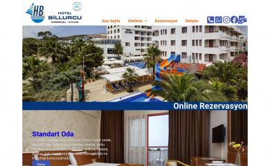 billurcu.com screenshot