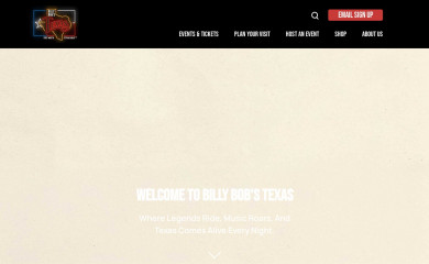 billybobstexas.com screenshot