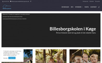 billesborgskolen.dk screenshot