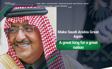 binayef.com screenshot