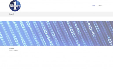 binary1.com screenshot