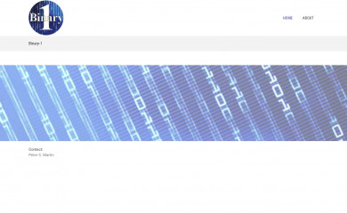 binary1.com screenshot