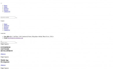 binaryrevolutions.com screenshot