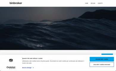 binbroker.it screenshot