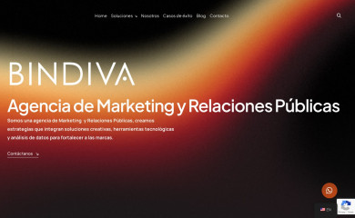 bindiva.com screenshot