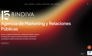 bindiva.com screenshot