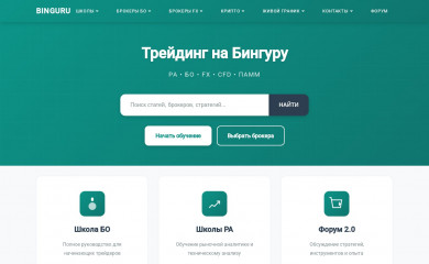 binguru.net screenshot