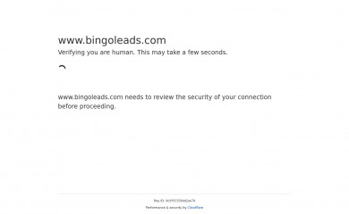 bingoleads.com screenshot