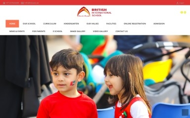 bisuae.ae screenshot