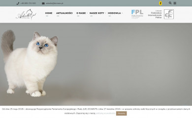 birmans.pl screenshot