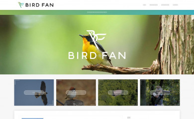 birdfan.net screenshot