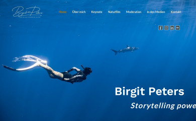 birgitpeters.at screenshot