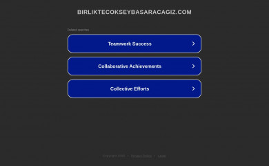 birliktecokseybasaracagiz.com screenshot