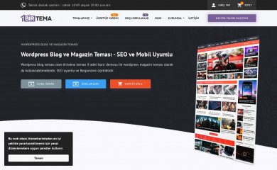 Birtekno Blog ve Magazin Teması screenshot