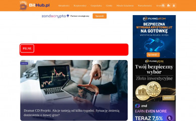 bithub.pl screenshot