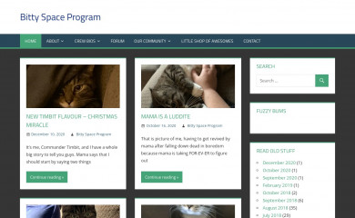 bittyspaceprogram.com screenshot