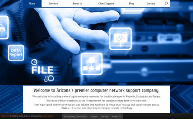 bitwits.com screenshot