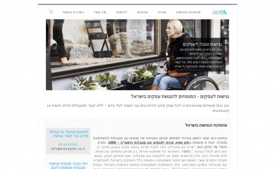 biznagish.co.il screenshot