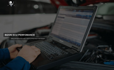 bizon-ecu-performance.pl screenshot
