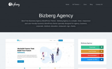 Bizberg Agency screenshot