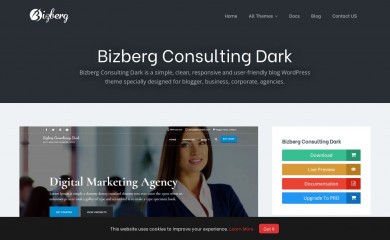 Bizberg Consulting Dark screenshot
