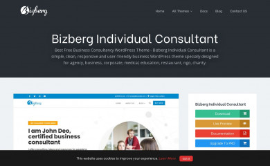 https://bizbergthemes.com/downloads/bizberg-individual-consultant/ screenshot