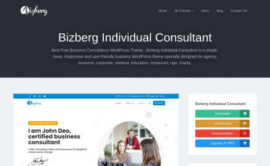 Bizberg Individual Consultant screenshot