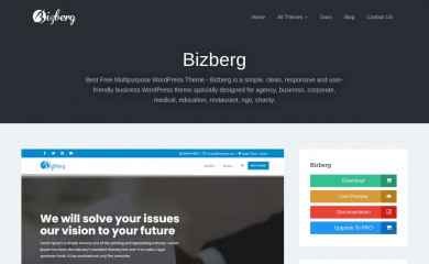 Bizberg screenshot