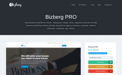 Bizberg PRO screenshot
