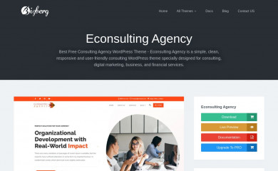 eConsulting Agency screenshot