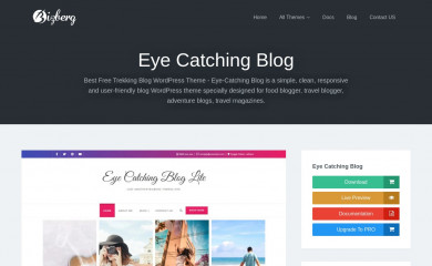 Eye Catching Blog screenshot