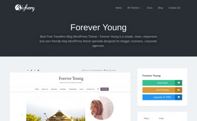 https://bizbergthemes.com/downloads/forever-young/ screenshot