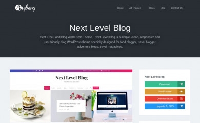 Next Level Blog screenshot