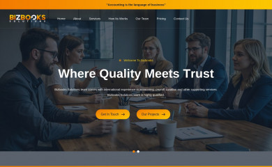 bizbookssolutions.com screenshot