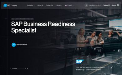 bizconsult.at screenshot