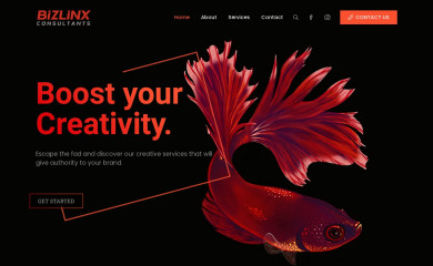 bizlinxconsultants.com screenshot