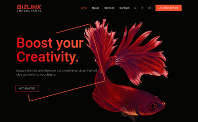 bizlinxconsultants.com screenshot